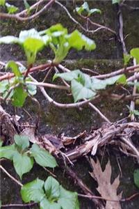Journal Spring Leaves Vine Brick Retaining Wall