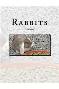 Rabbits Notebook
