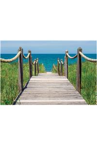 On Cape Cod Greeting Cards