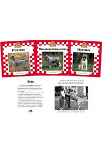 Dogs Set 6 (Set)