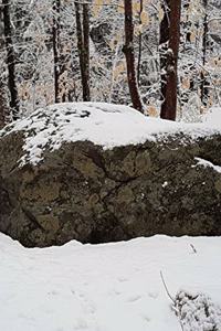2020 Daily Planner Winter Rock Snowy Forest 388 Pages