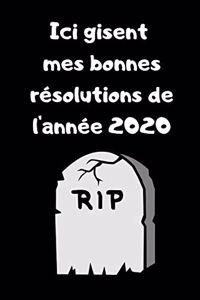 Ici gisent mes bonne résolutions de l'année 2020: Carnet lignée humoristique à remplir