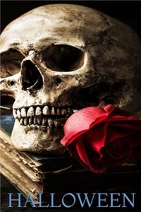 Halloween, Skull Notebook, Memory Book to Write or Draw , 6x9, 100 Beautiful Pages, Notes, Journal, Memory Book