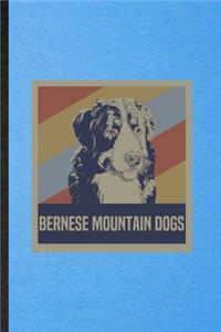 Bernese Mountain Dog