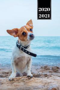 Chihuahua Dog Calendar Week Planner 2020 / 2021 - Exploring the Beach