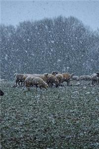 Sheep in a Field While it's Snowing Journal