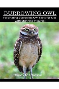 Burrowing Owl