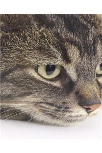 School Composition Book Tiger Cat Watches Photo 130 Pages
