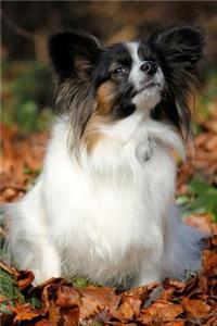 Papillon Dog Lined Journal