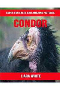 Condor