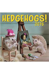 Hedgehogs 2018 Wall Calendar