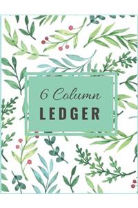6 Column Ledger