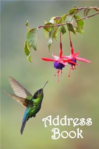 Address Book