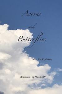Mountain Top Musing IV