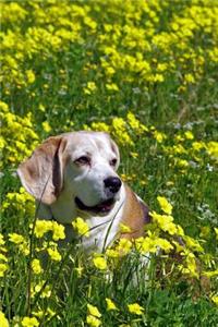 Beagle Dog in a Yellow Flower Field Journal