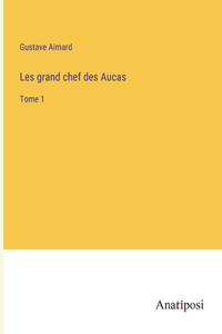 Les grand chef des Aucas