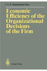 Economic Efficiency of the Organizational Decisions of the Firm