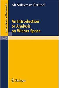 Introduction to Analysis on Wiener Space