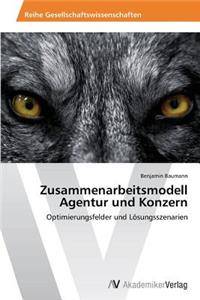 Zusammenarbeitsmodell Agentur Und Konzern