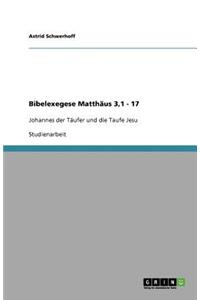 Bibelexegese Matthäus 3,1 - 17