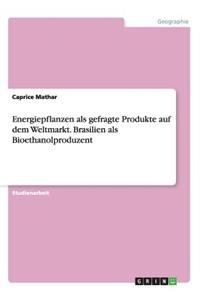 Energiepflanzen als gefragte Produkte auf dem Weltmarkt. Brasilien als Bioethanolproduzent