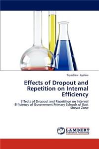 Effects of Dropout and Repetition on Internal Efficiency