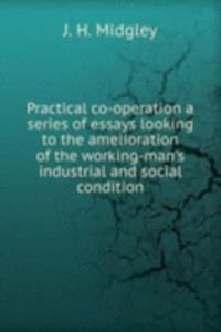 Practical co-operation a series of essays looking to the amelioration of the working-man's industrial and social condition