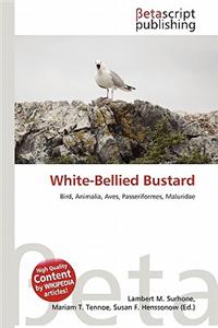 White-Bellied Bustard