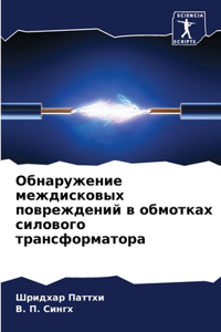 Обнаружение междисковых повреждений в о