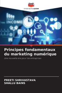 Principes fondamentaux du marketing numérique