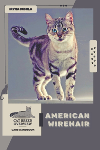 American Wirehair