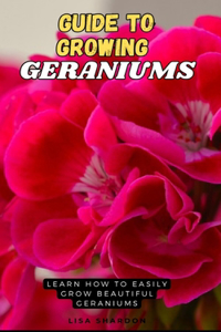 Guide to Growing Geraniums