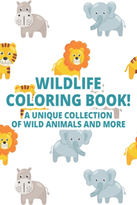 WildLife Coloring Book! A Unique Collection Of Wild Animals And More