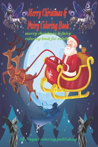 Merry Christmas & Fairy Coloring Book