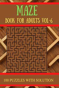 Maze Book for Adults Vol-6