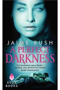 A Perfect Darkness