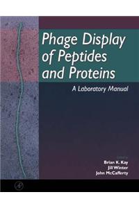 Phage Display of Peptides and Proteins