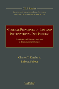 General Principles of Law and International Due Process