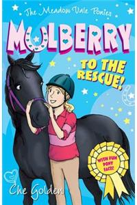 Meadow Vale Ponies: Mulberry to the Rescue!