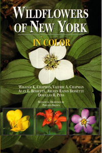 Wildflowers of New York in Color