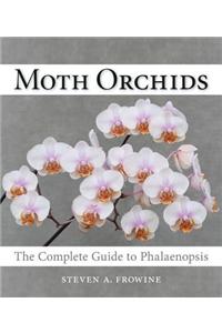 Moth Orchids