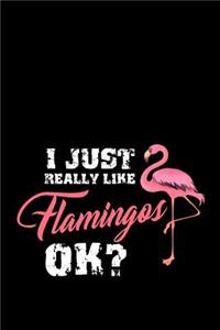 I Just Really Like Flamingos Ok?