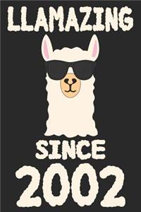 Llamazing Since 2002