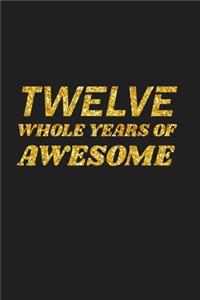 Twelve Whole Years Of Awesome