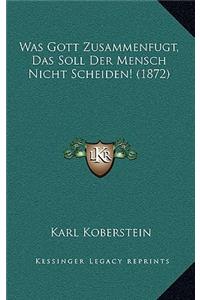 Was Gott Zusammenfugt, Das Soll Der Mensch Nicht Scheiden! (1872)