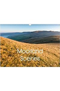 Moorland Scenes 2018