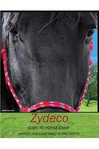 Zydeco Goes to Horse Camp