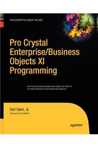 Pro Crystal Enterprise / BusinessObjects XI Programming