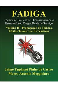 Fadiga - Técnicas e Práticas de Dimensionamento Estrutural sob Cargas Reais de Serviço