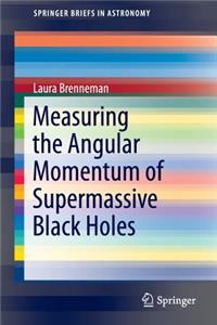 Measuring the Angular Momentum of Supermassive Black Holes